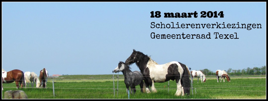 gemeenteraad texel